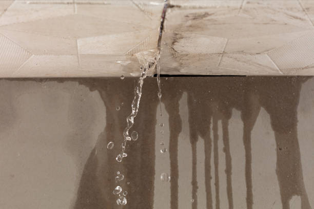Professional Burst Pipe Cleanup technician working in Morton, MS